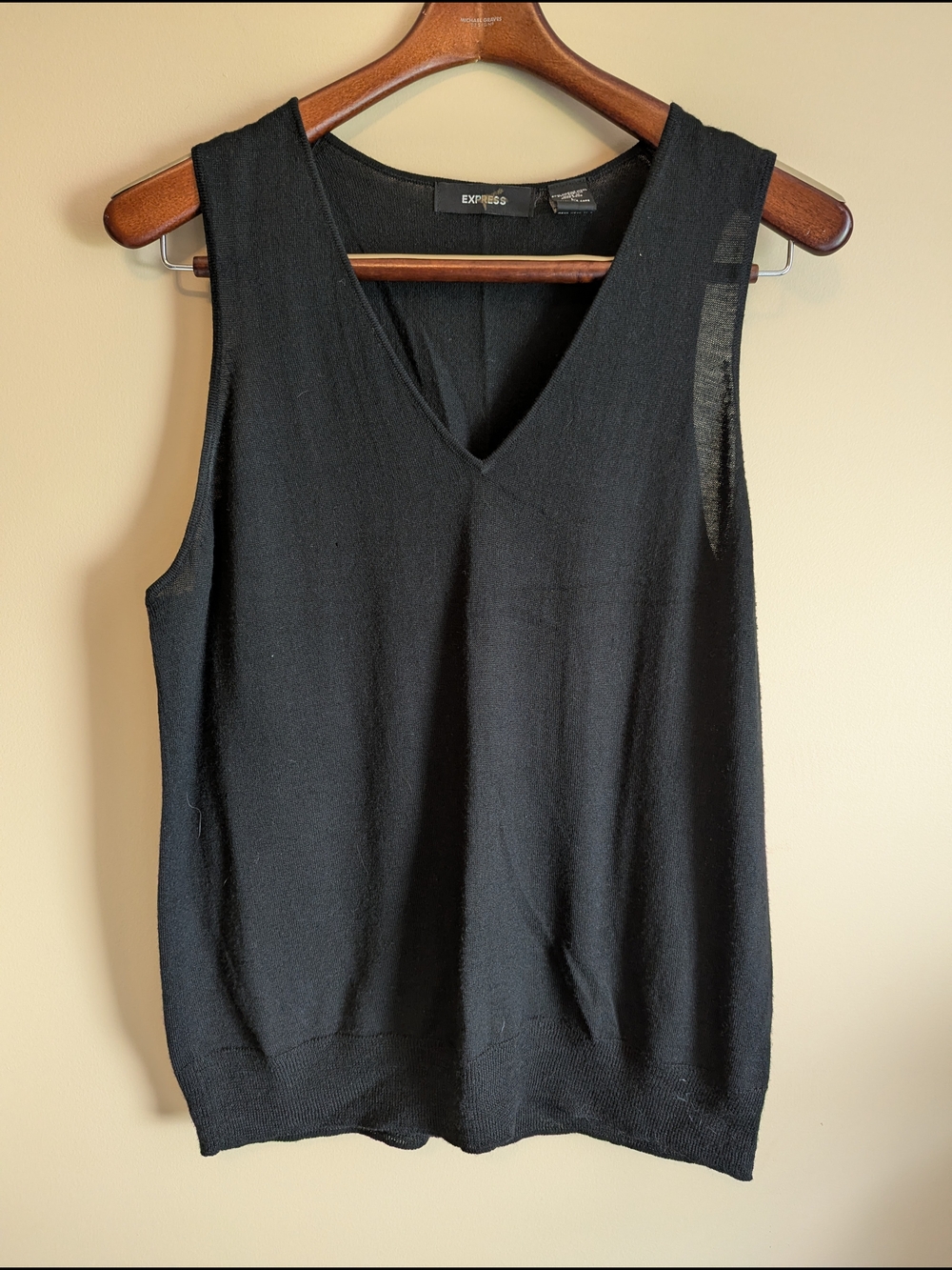 Express Black V-Neck Knit Tank